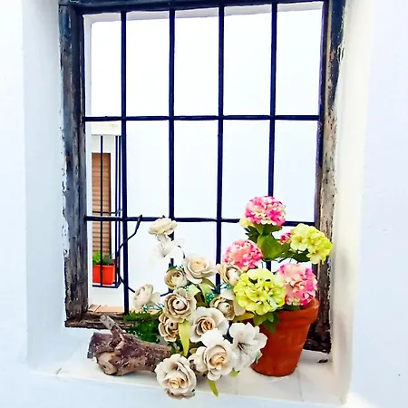 La Aldaba Vejer Traditional Patio House *